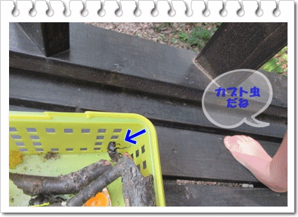 b0254145_11173420.gif