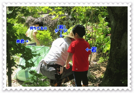 b0254145_11405586.gif