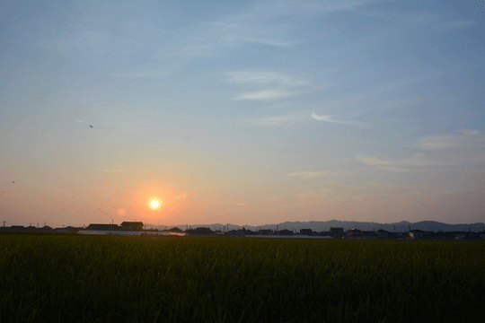 朝日(2)_c0093046_17345646.gif
