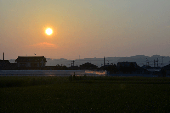 朝日(2)_c0093046_17351613.gif