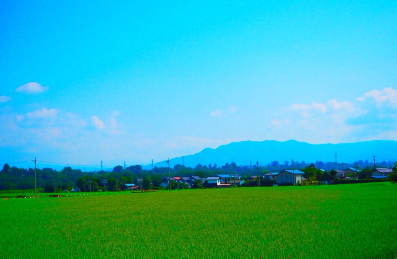 d0341450_12070269.jpeg