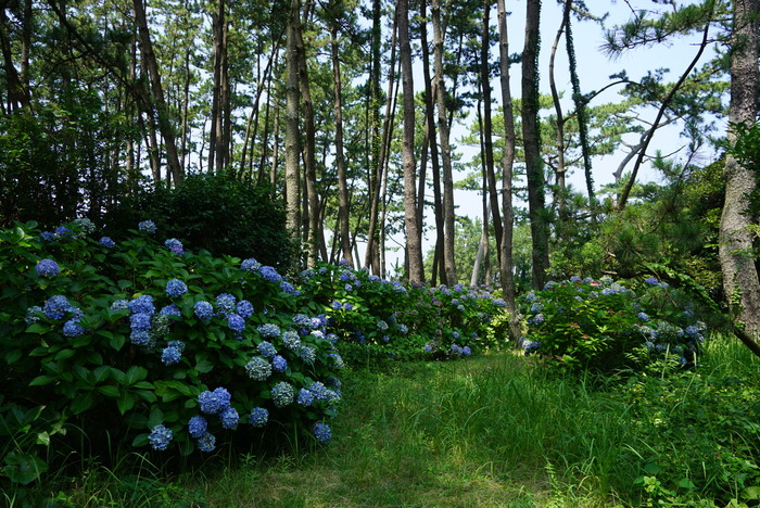 伊豆～熱海～沼津へ～ドライブ旅行　11_d0152261_1022375.jpg