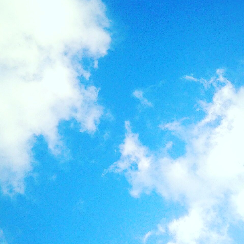 リオデジャネイロオリンピックも最高潮。。。そして 美しい虹が かかりましたね♡⊹⊱..☆*:.。.☆*† _a0053662_22205131.jpg