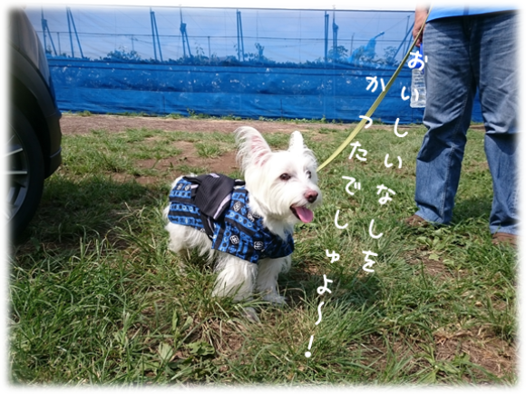 b0242873_01020758.png