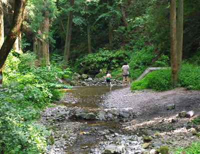 b0123486_9292268.jpg