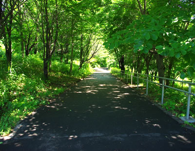 b0123486_929842.jpg