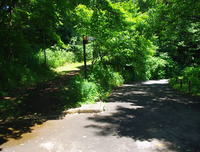 b0123486_9343445.jpg