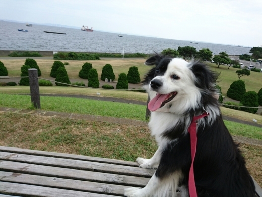 おみっちゃんと盆休み_e0297387_16043470.jpg