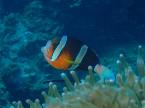 e0115199_13103096.jpg