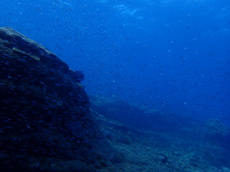 e0115199_16030119.jpg