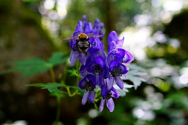 c0339900_6313121.jpg