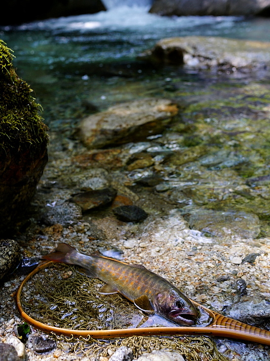 c0339900_643615.jpg