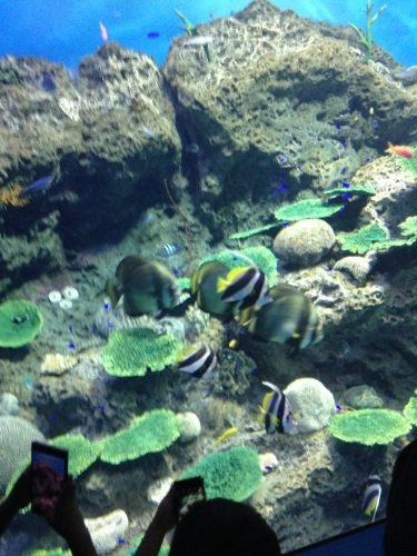 a0234809_23345107.jpg