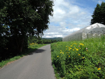 軽米町の風景_c0195909_1043151.jpg