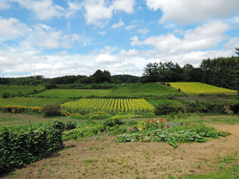 軽米町の風景_c0195909_10433223.jpg