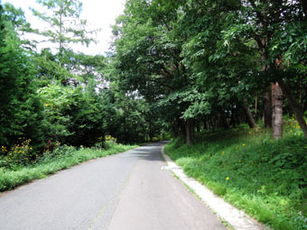 軽米町の風景_c0195909_1043871.jpg