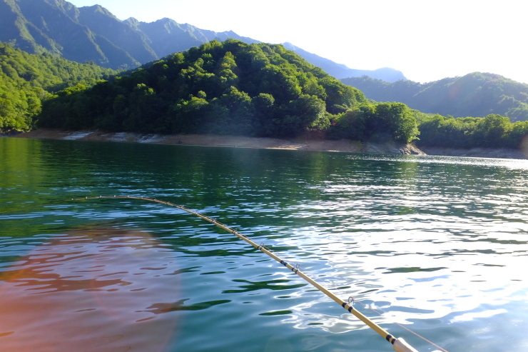 真夏の銀山湖・ついに出た大岩魚 ⑧ 8月19日_c0232813_07494605.jpg