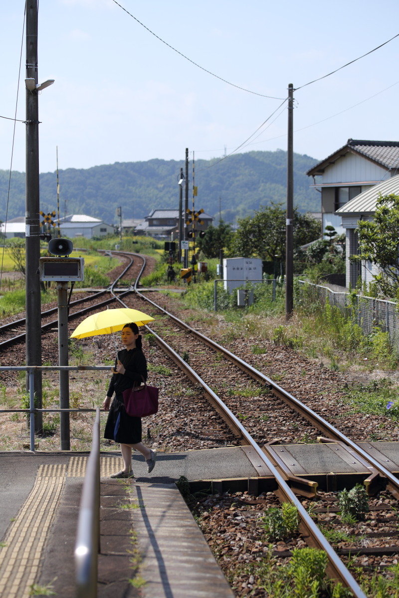 徳島~立江 牟岐線立江駅の小さなアンチクショウ_b0061717_1724634.jpg