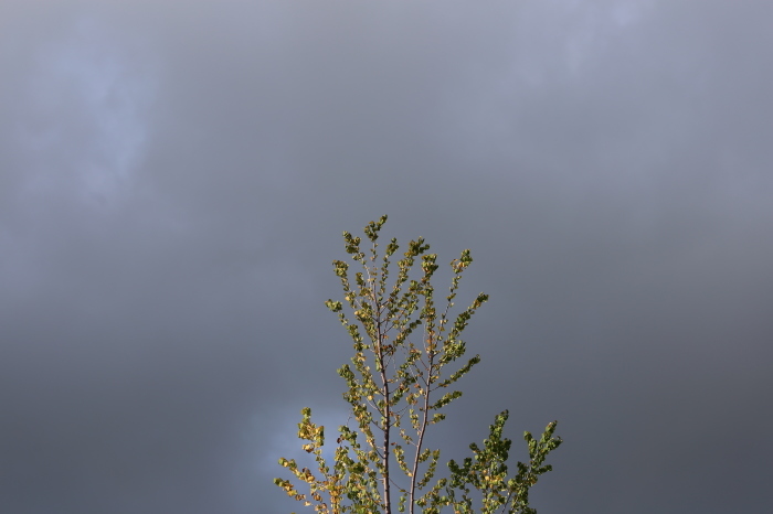 f0363628_18552467.jpg