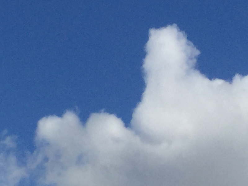 f0369838_10553129.jpg