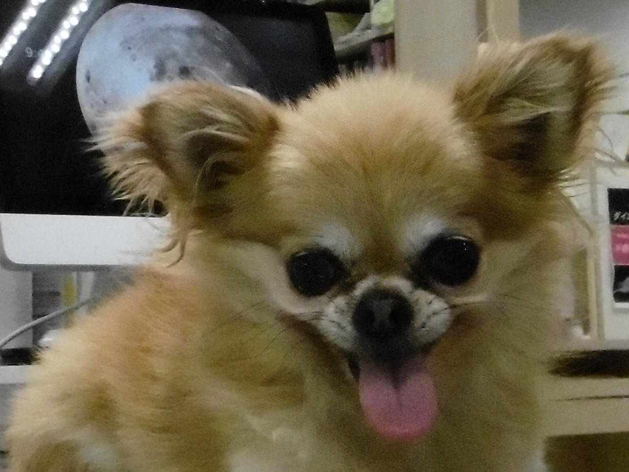 8 月 20 日の写真_c0174644_11421058.jpg