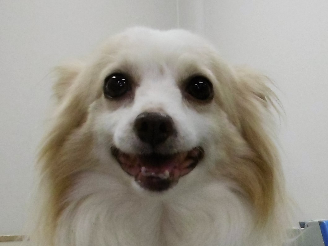 8 月 20 日の写真_c0174644_11422659.jpg
