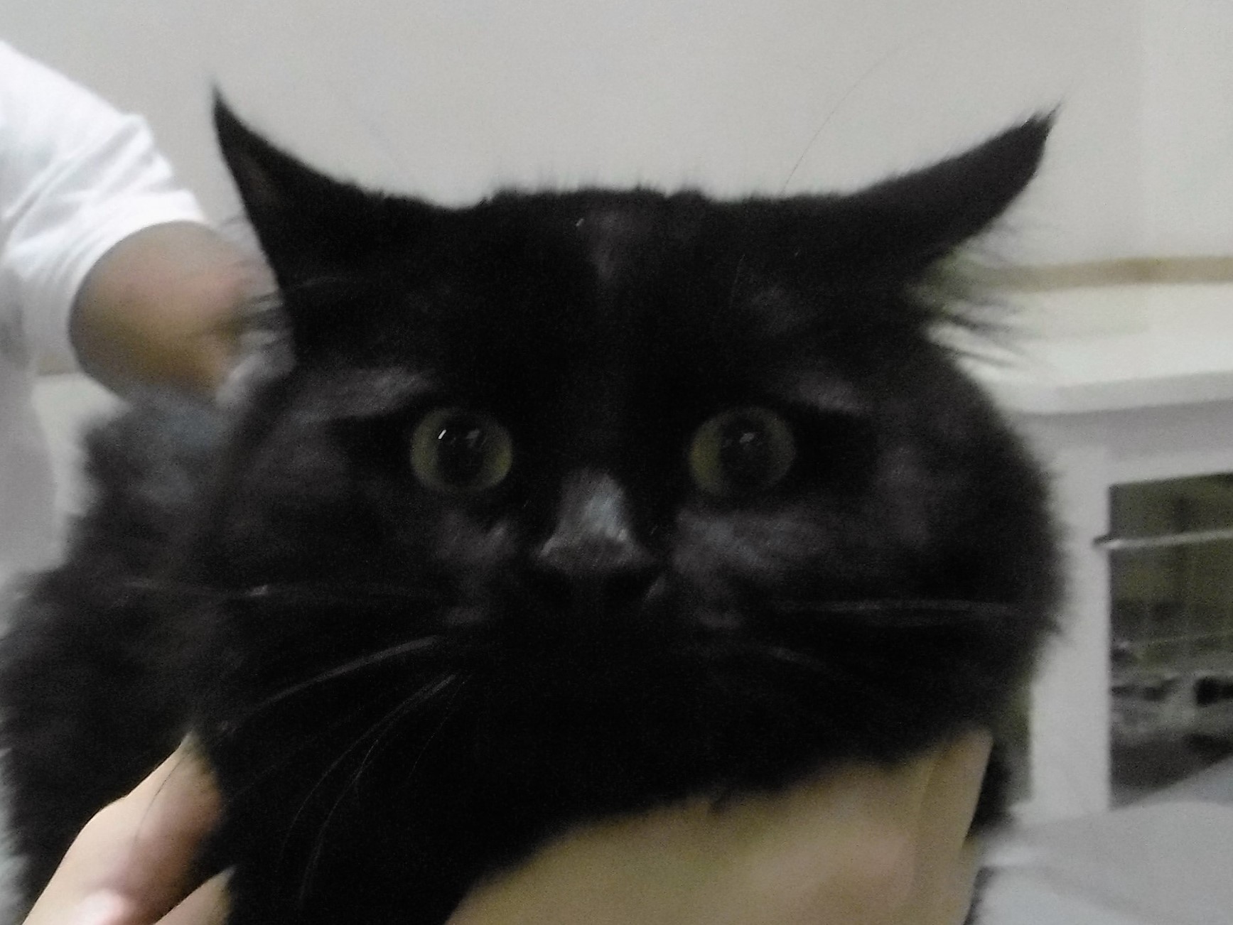 8 月 20 日の写真_c0174644_11583211.jpg
