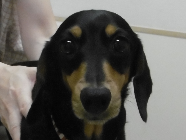 8 月 20 日の写真_c0174644_1852816.jpg