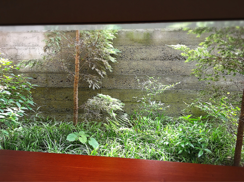 ZEN CAFE_e0292546_00385537.jpg