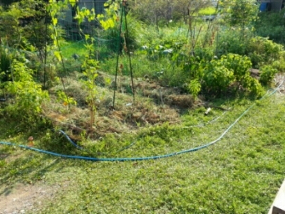 c0330749_01160540.jpg