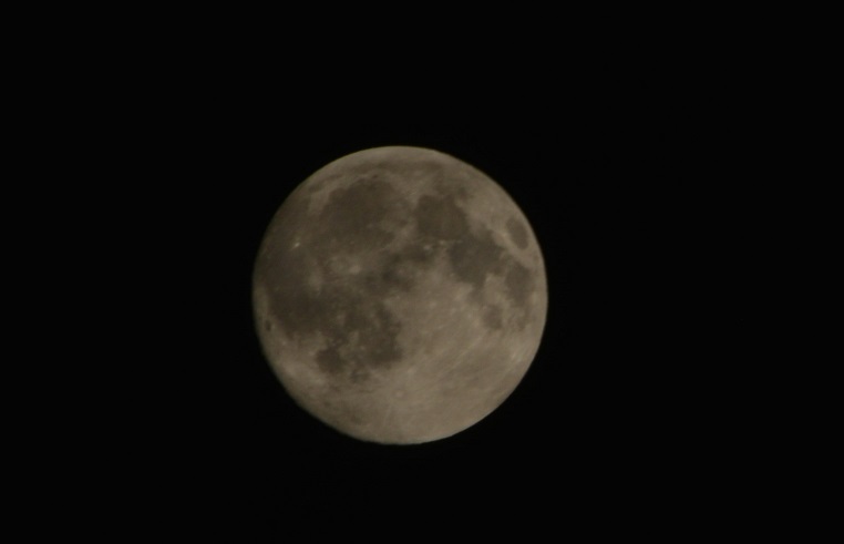 a0055650_161069.jpg