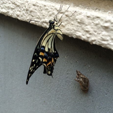 b0055151_22354000.jpg