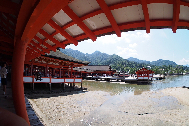 ◆厳島神社@宮島 Fish eye SNAP_b0008655_10515910.jpg