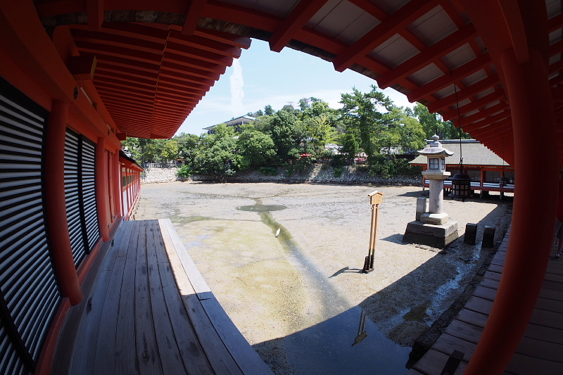◆厳島神社@宮島 Fish eye SNAP_b0008655_10520695.jpg