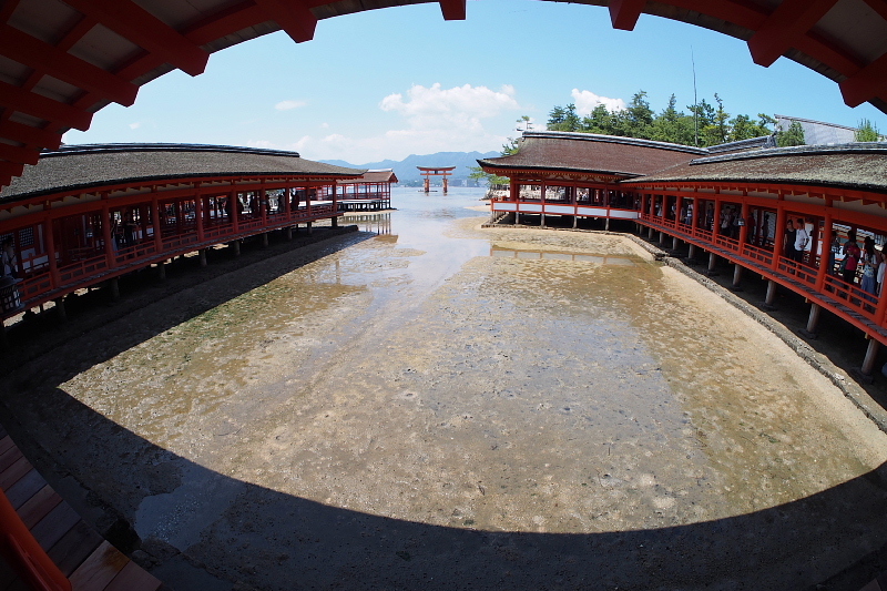 ◆厳島神社＠宮島　Fish eye SNAP_b0008655_10521525.jpg