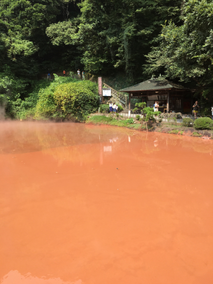 別府湯の町よさほいのさいさいで地獄めぐり:ダイヤモンドプリンセス2016_f0054556_16575206.jpg