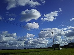 豪雨の土曜日_f0130259_11215022.jpg