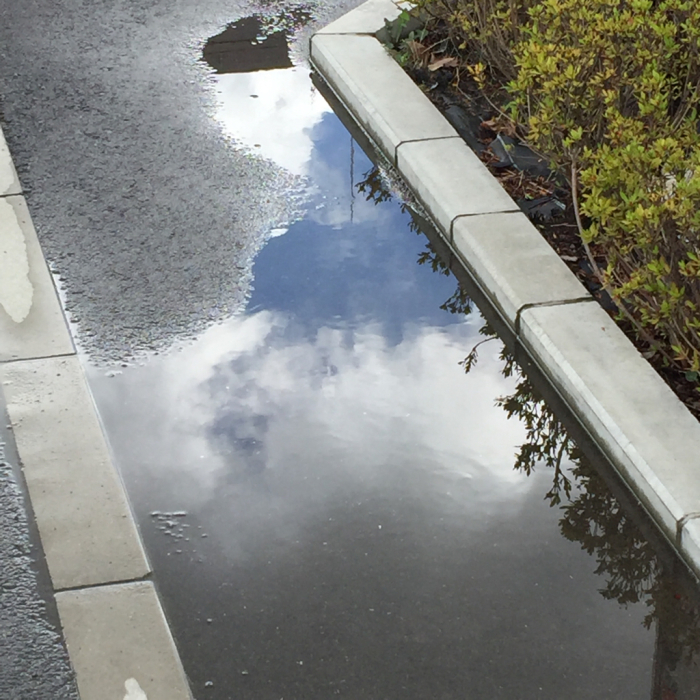 雨上がり 青空水たまり Let S Enjoy Everyday
