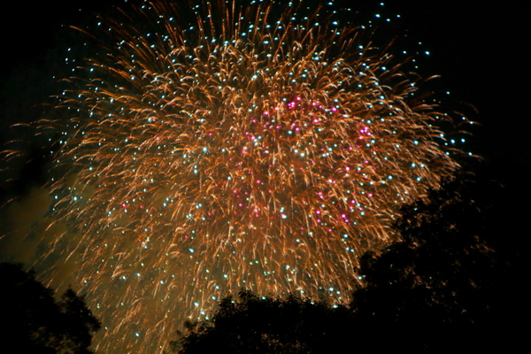 ２０１６年小野市の花火_f0215969_21504711.jpg