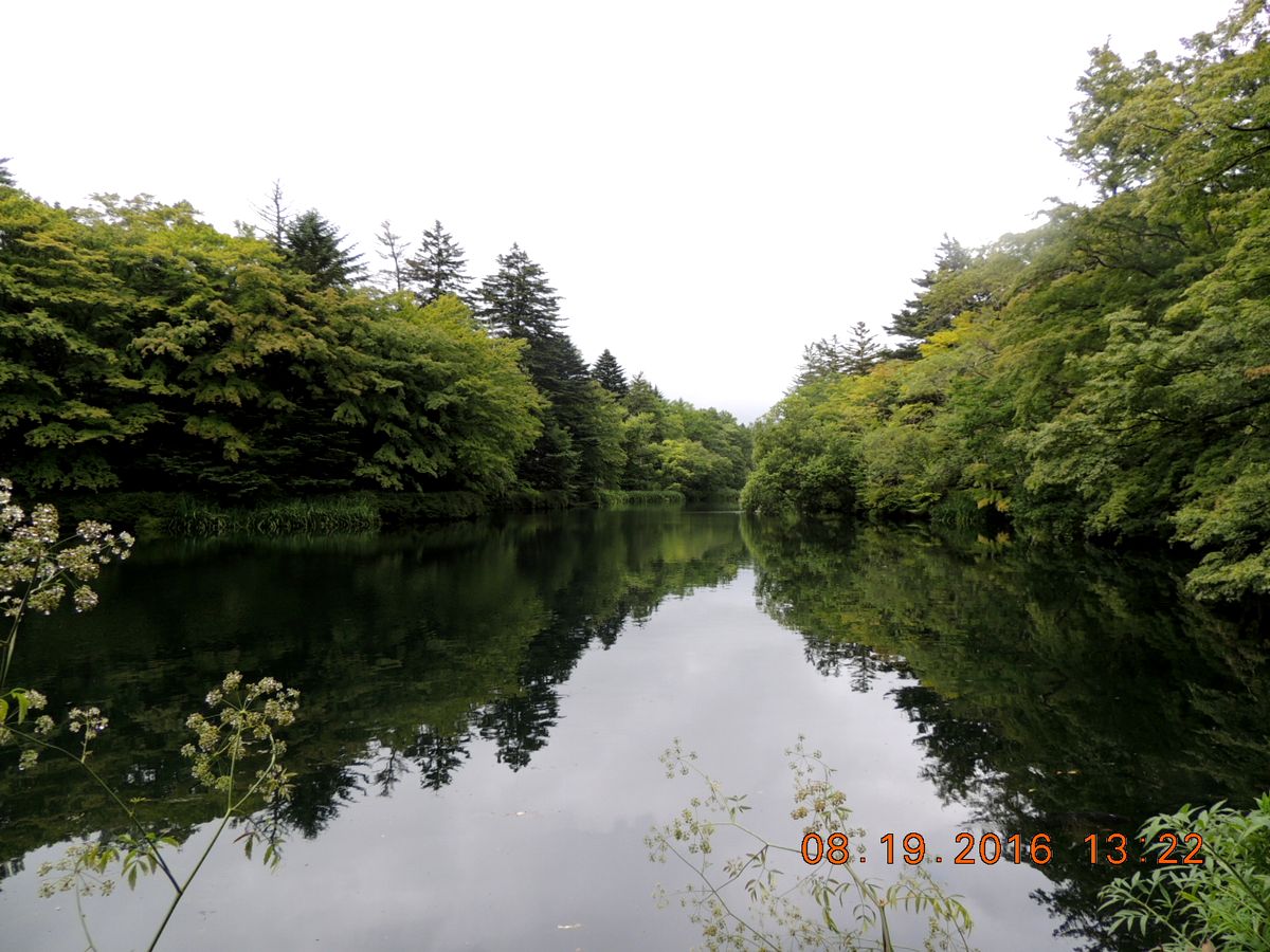 f0104277_2040412.jpg