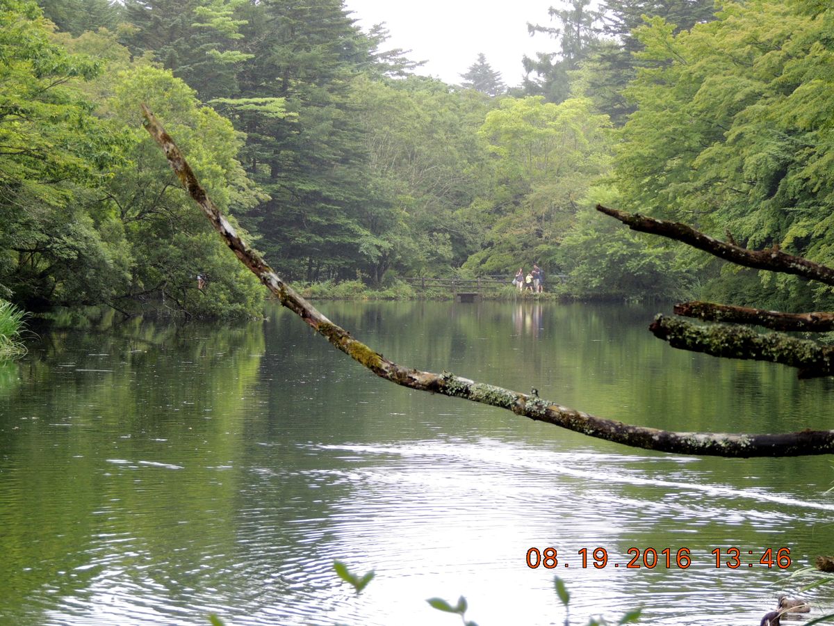 f0104277_20425463.jpg