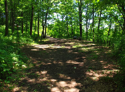 b0123486_634197.jpg