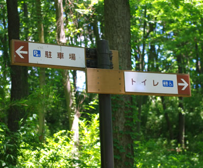b0123486_6373485.jpg