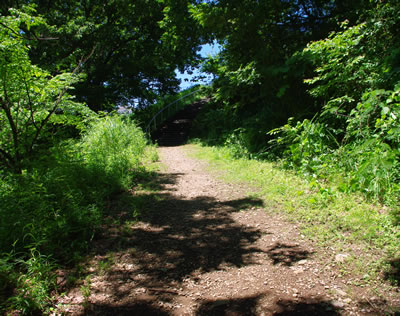 b0123486_6593065.jpg