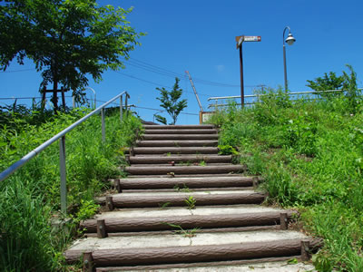b0123486_7265228.jpg