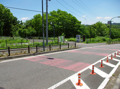 b0123486_7453441.jpg