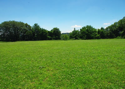 b0123486_829756.jpg