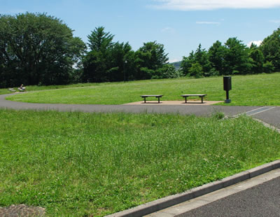 b0123486_833346.jpg