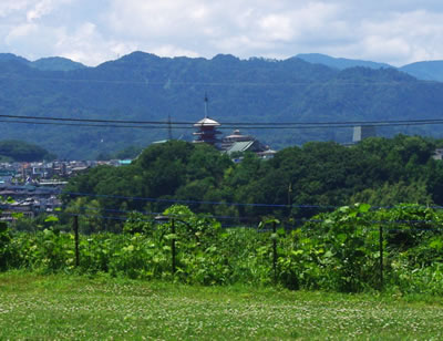 b0123486_8503757.jpg