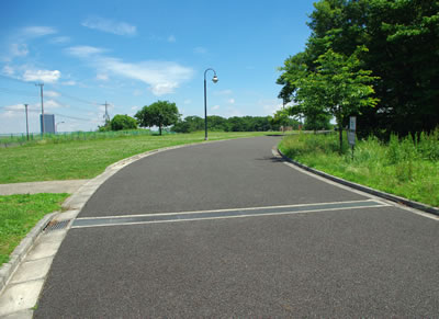 b0123486_892328.jpg
